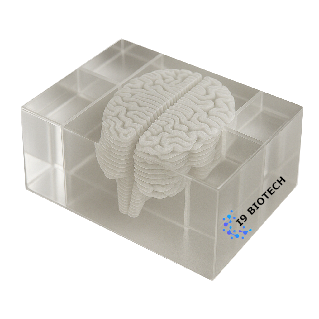 As matrizes de corte cerebral são ferramentas essenciais na neurociência para realizar seccionamentos precisos do cérebro de roedores, como ratos e camundongos. Elas são projetadas com fendas paralelas que permitem cortes uniformes em planos específicos, como o coronal ou sagital.